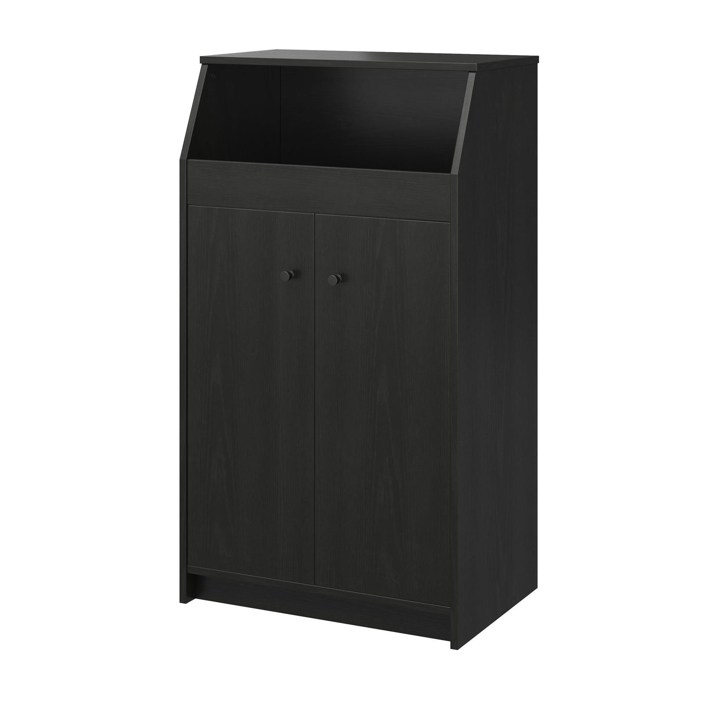 The Loft 2 Door Storage Tower - Black Fiberboard Cabinet
