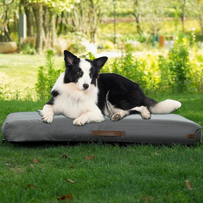 Inflatable Waterproof Dog Bed with Removable Washable Cover for Outdoor & Travel Use
