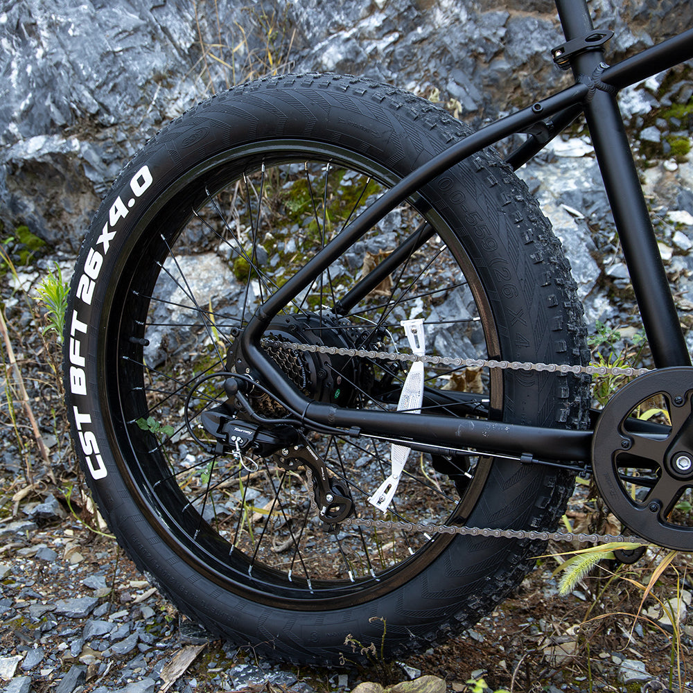 1000W Electric Fat Tire Mountain Bike - 26x4 Inch, Black