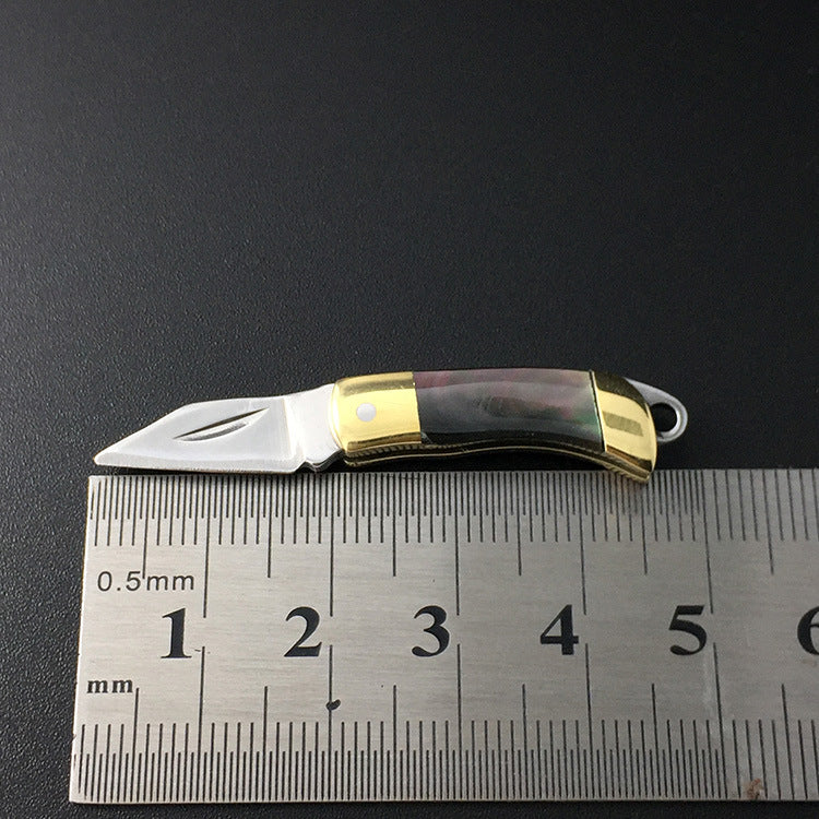 Mini Folding Knife with Shell Handle - Portable Kitchen & Garden Tool