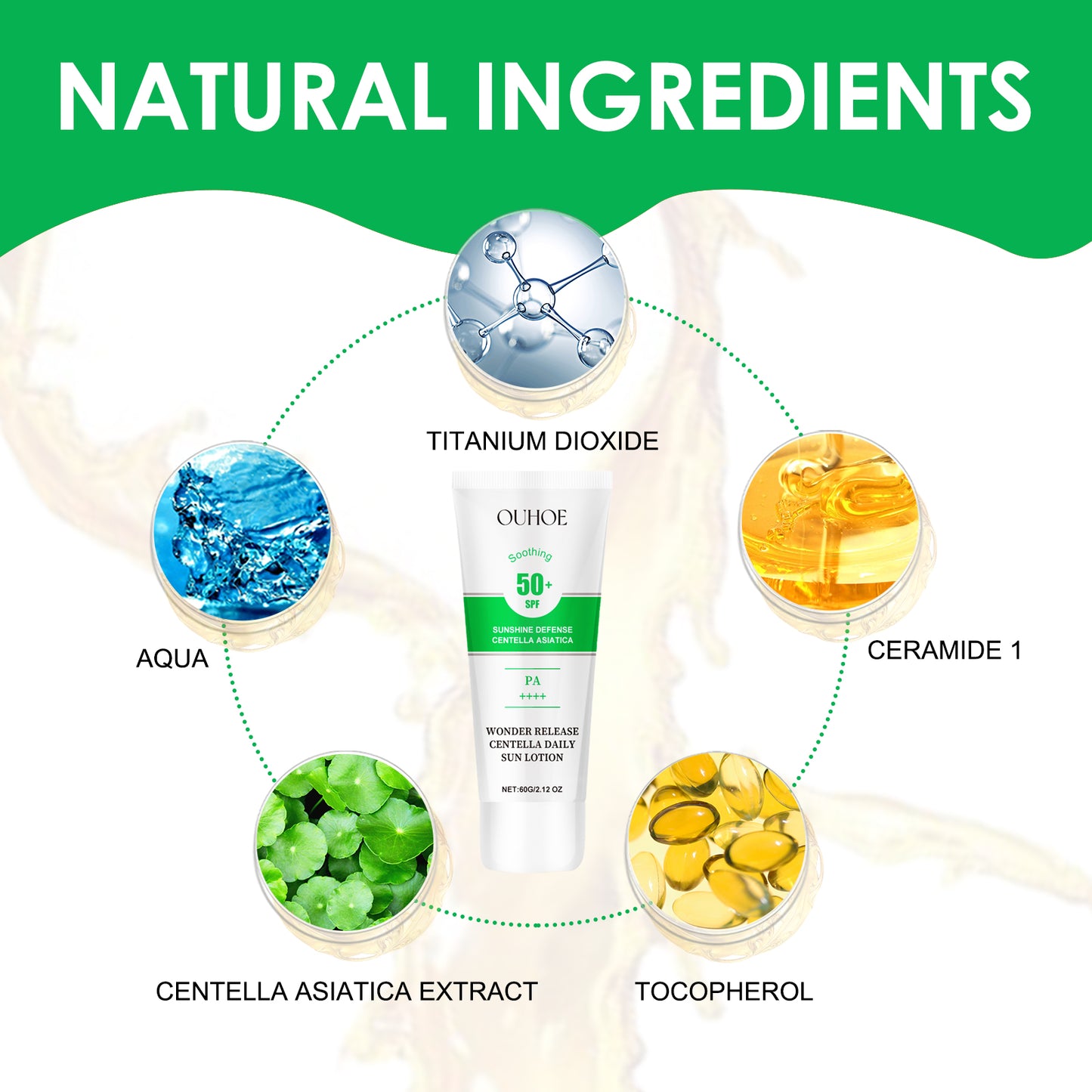 Centella Asiatica Daily Sun Lotion - Hydrating Facial Sunscreen