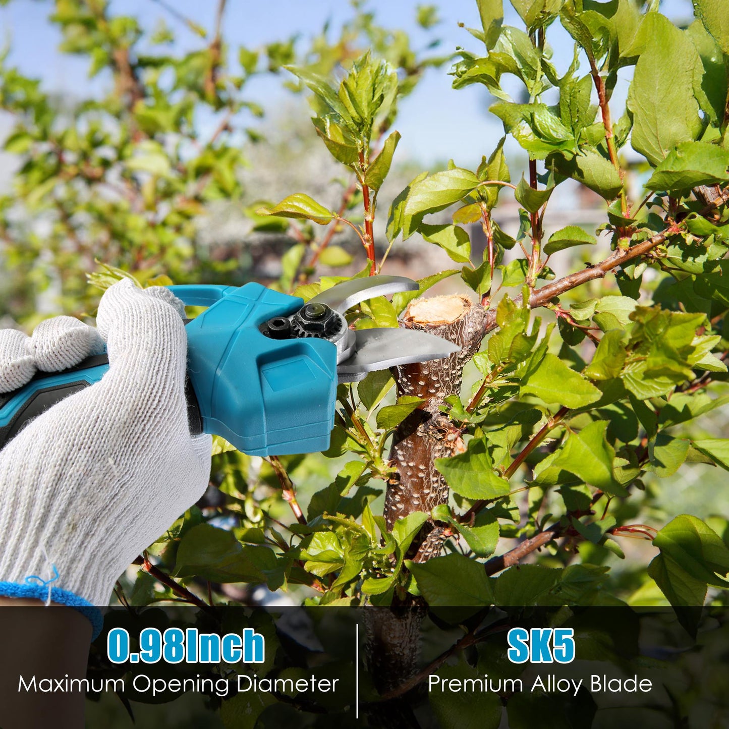 Cordless Electric Pruning Shear with Extension Pole 21V 4.0Ah Battery 13ft Reach