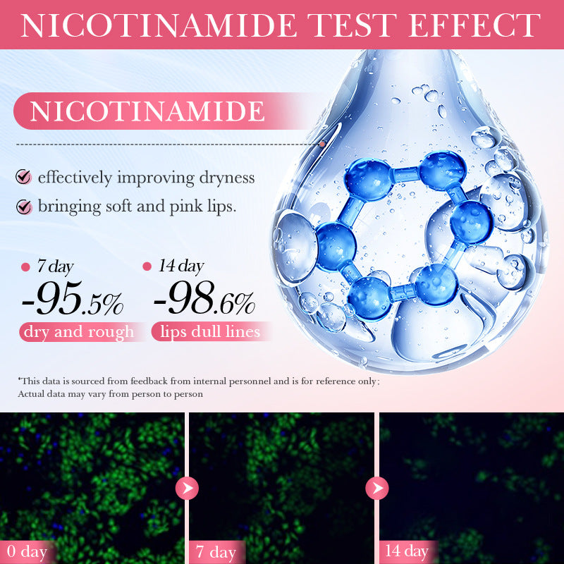 Nicotinamide Lip Moisturizer with Ceramide and Vitamin C - 10g Hydrating Lip Mask