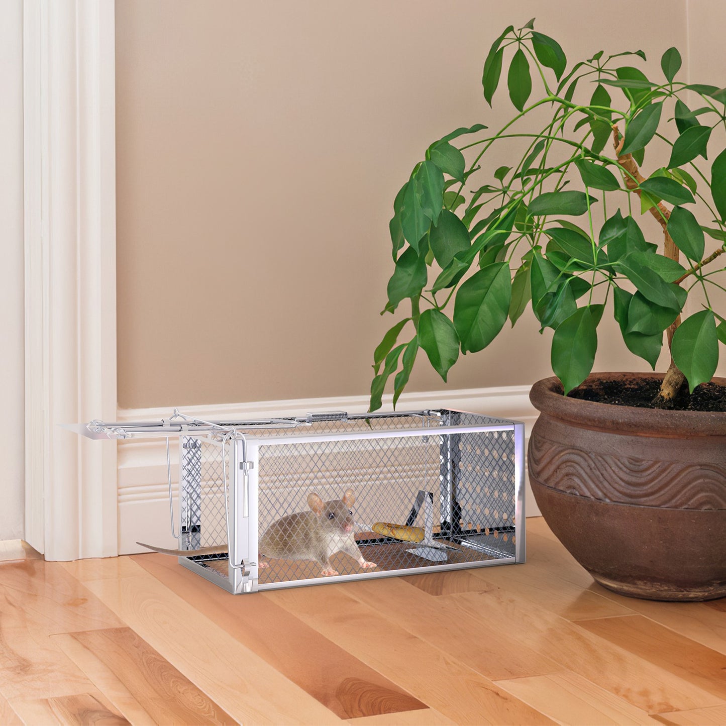 Humane Rat Trap Cage - Stainless Steel Rodent Trap for Indoor & Outdoor Use