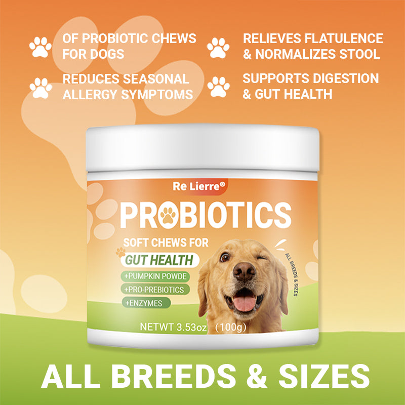 Dog Probiotics Soft Chews for Digestive Health - 40 Servings