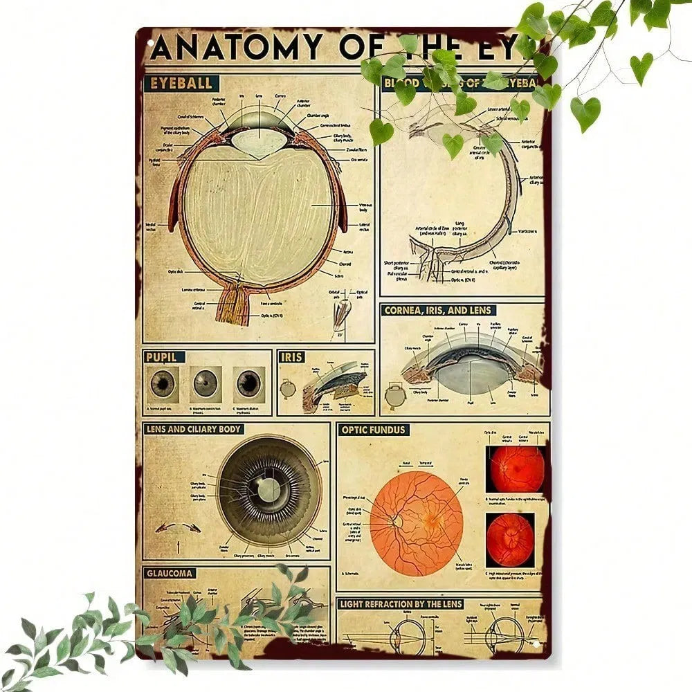 Metal Tin Sign Wall Decoration - 20 cm x 20 cm