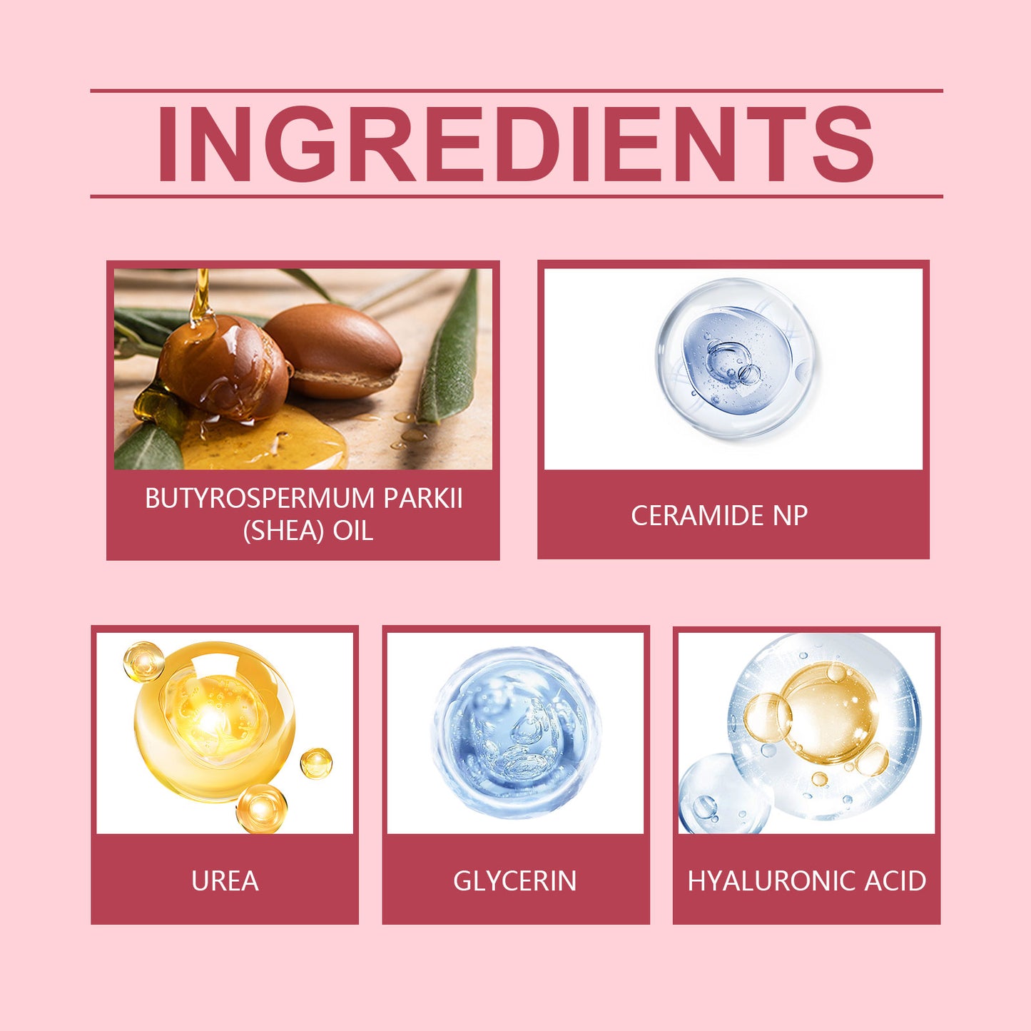 Nourishing Face Cream with Hyaluronic Acid & Shea Butter - 100ml