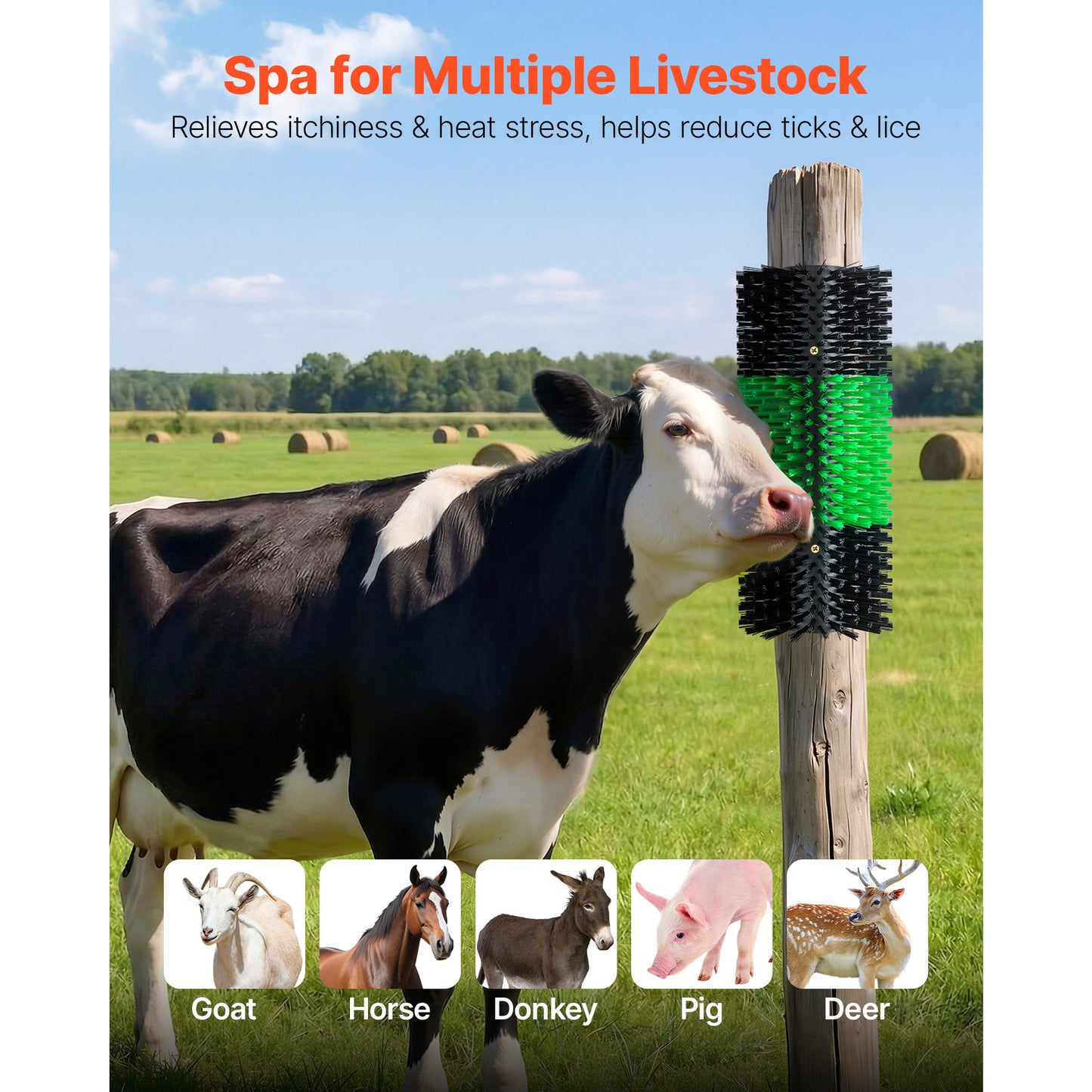 Livestock Scratching Brush Post for Horses, Cattle, Sheep & Pigs - 16.9 x 7.5 Inches, Green & Black