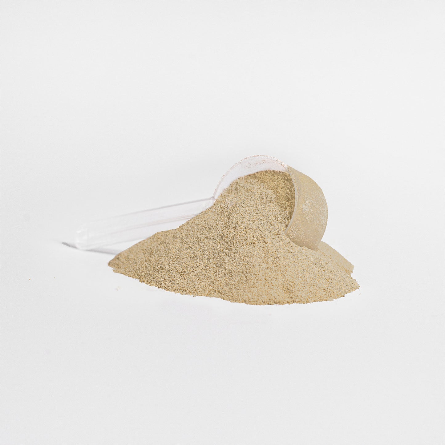 Whey Protein Isolate Powder Supplement - 29.6 oz