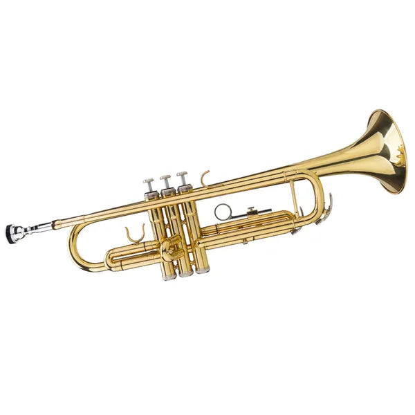 Adjustable Trumpet Gloves Set - Golden