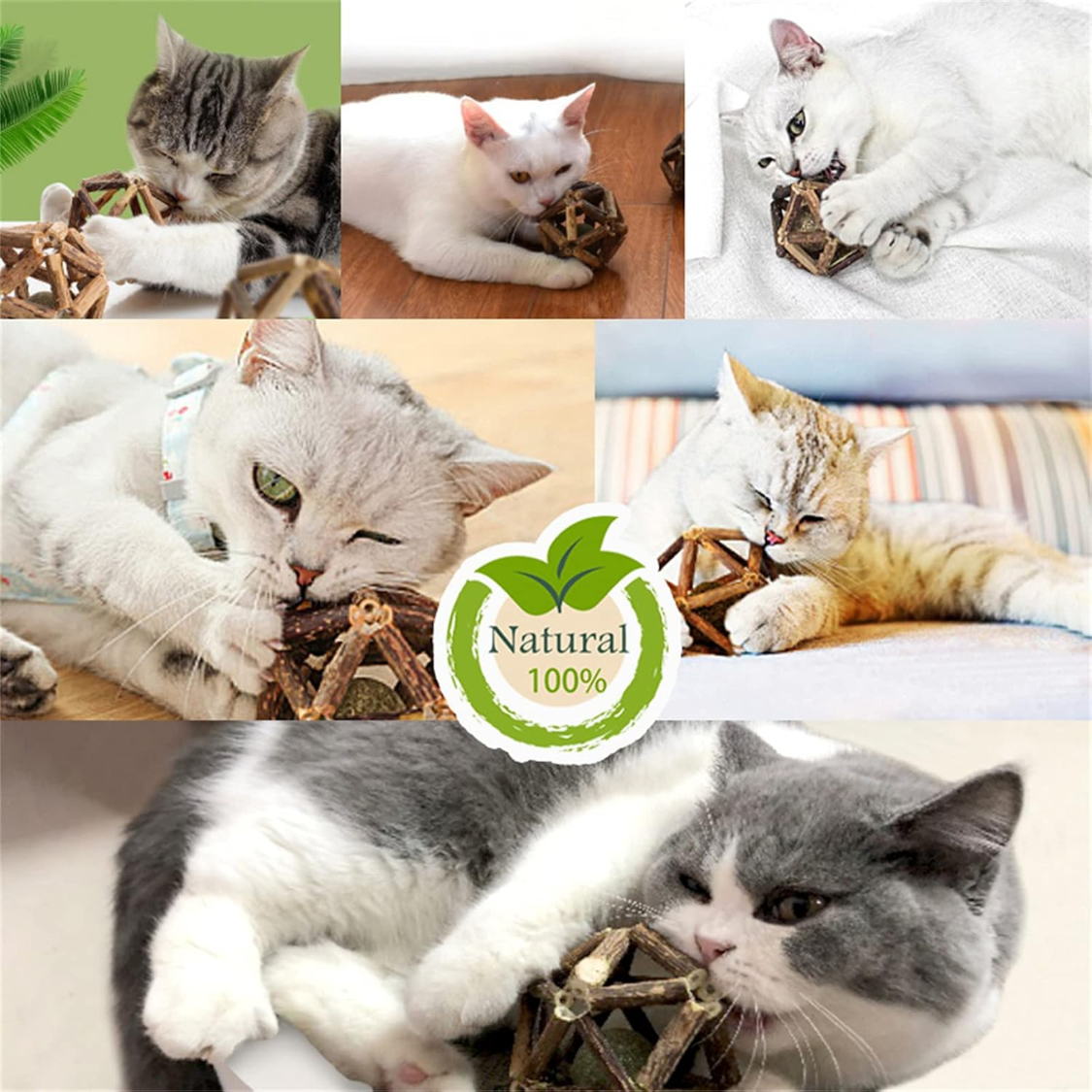 Natural Silvervine Catnip Stick & Ball Chew Toys for Dental & Mood Health