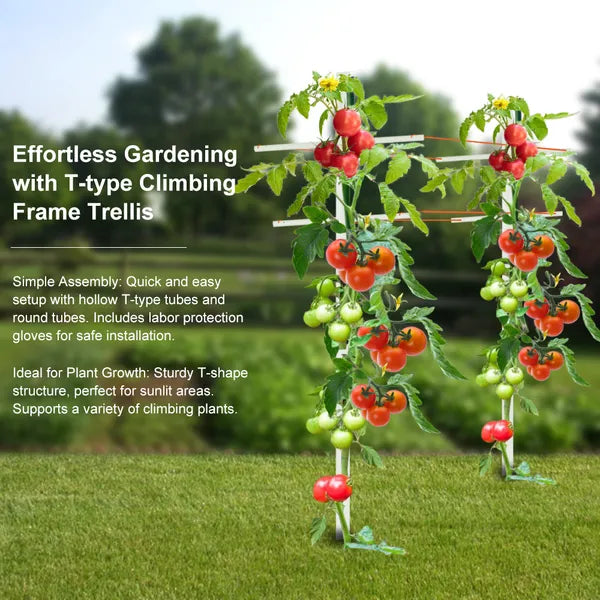 7FT Hollow T-Profile Climbing Trellis for Garden Plants