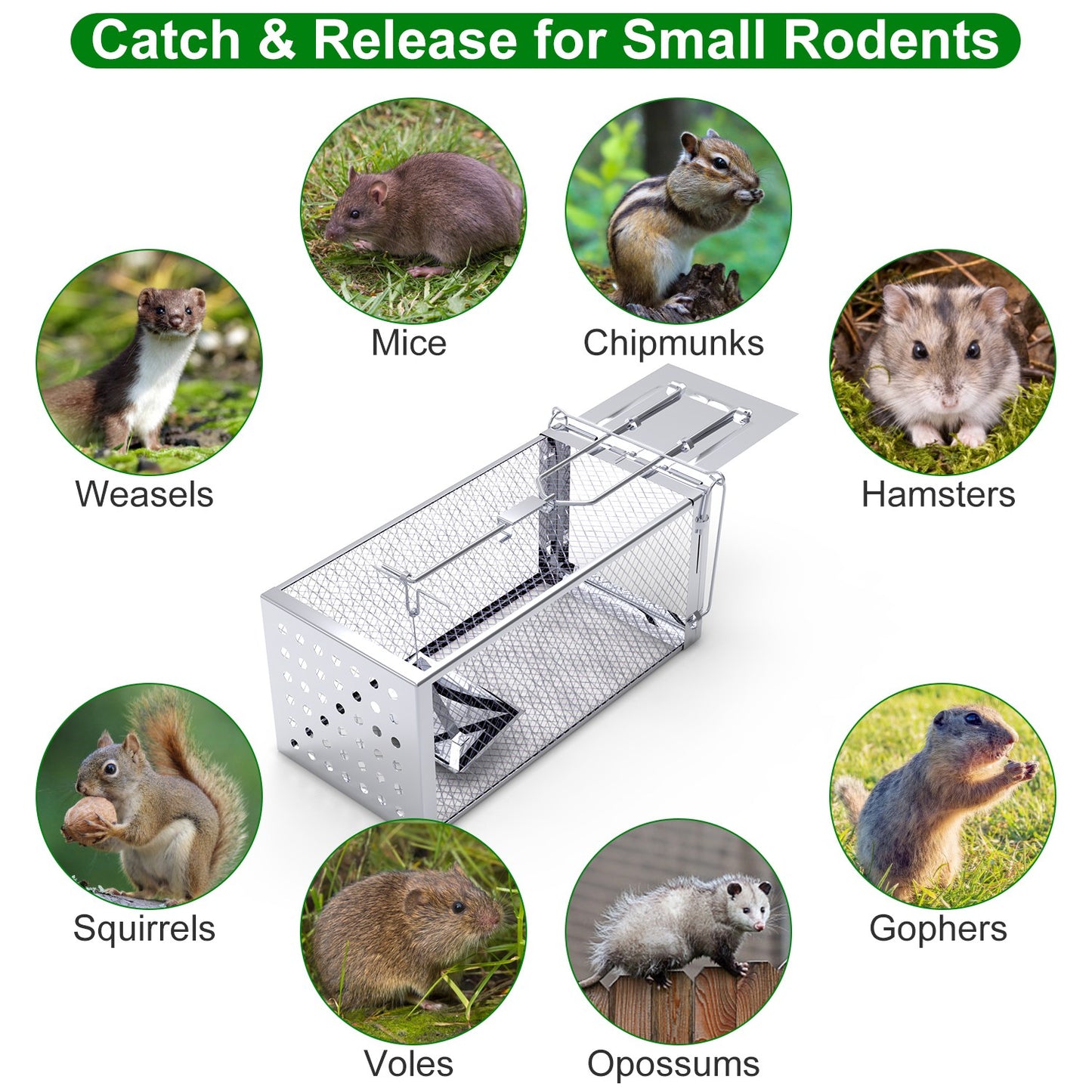 Humane Rat Trap Cage - Stainless Steel Rodent Trap for Indoor & Outdoor Use