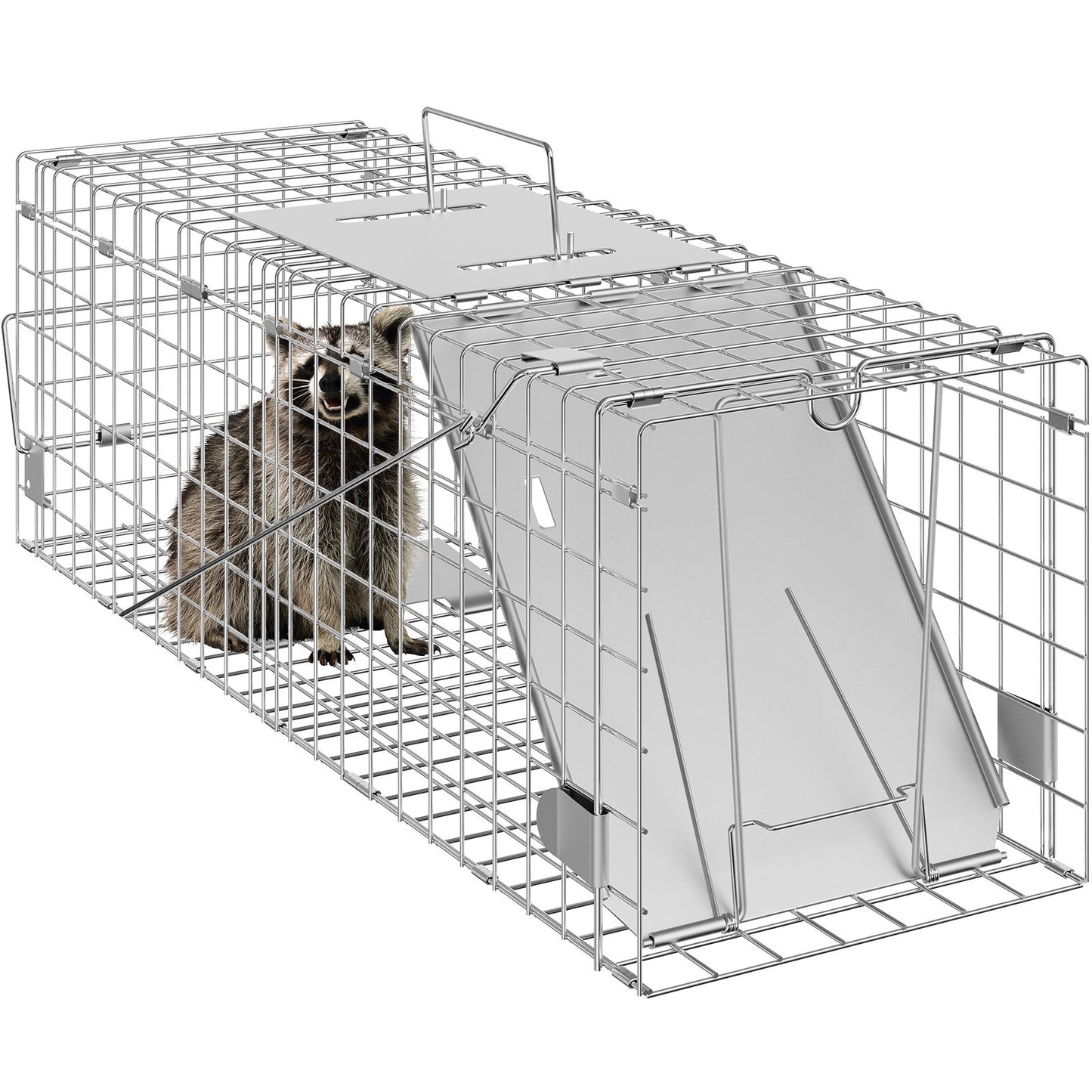 24-Inch Humane Animal Cage Trap for Raccoons, Cats, Rabbits, Squirrels