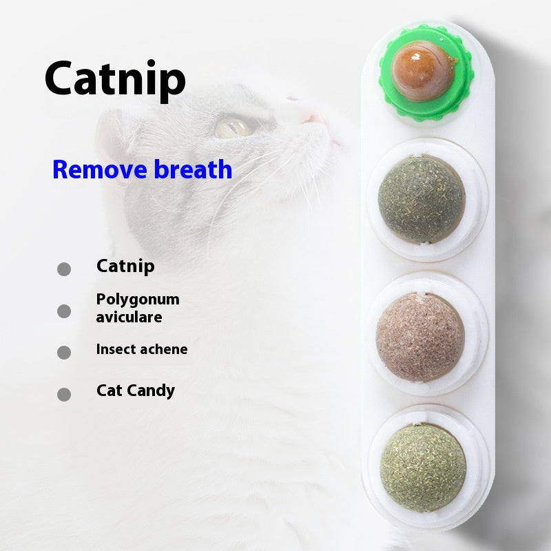 4-in-1 Rotating Catnip and Silver Vine Chew Toy Wall Mount for Cats
