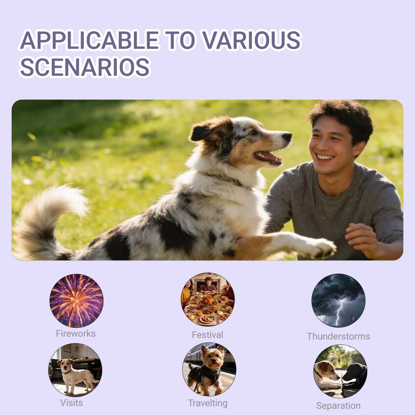 Dog Calming Soft Chews - Relaxing Supplement for All Breeds, 40 Servings