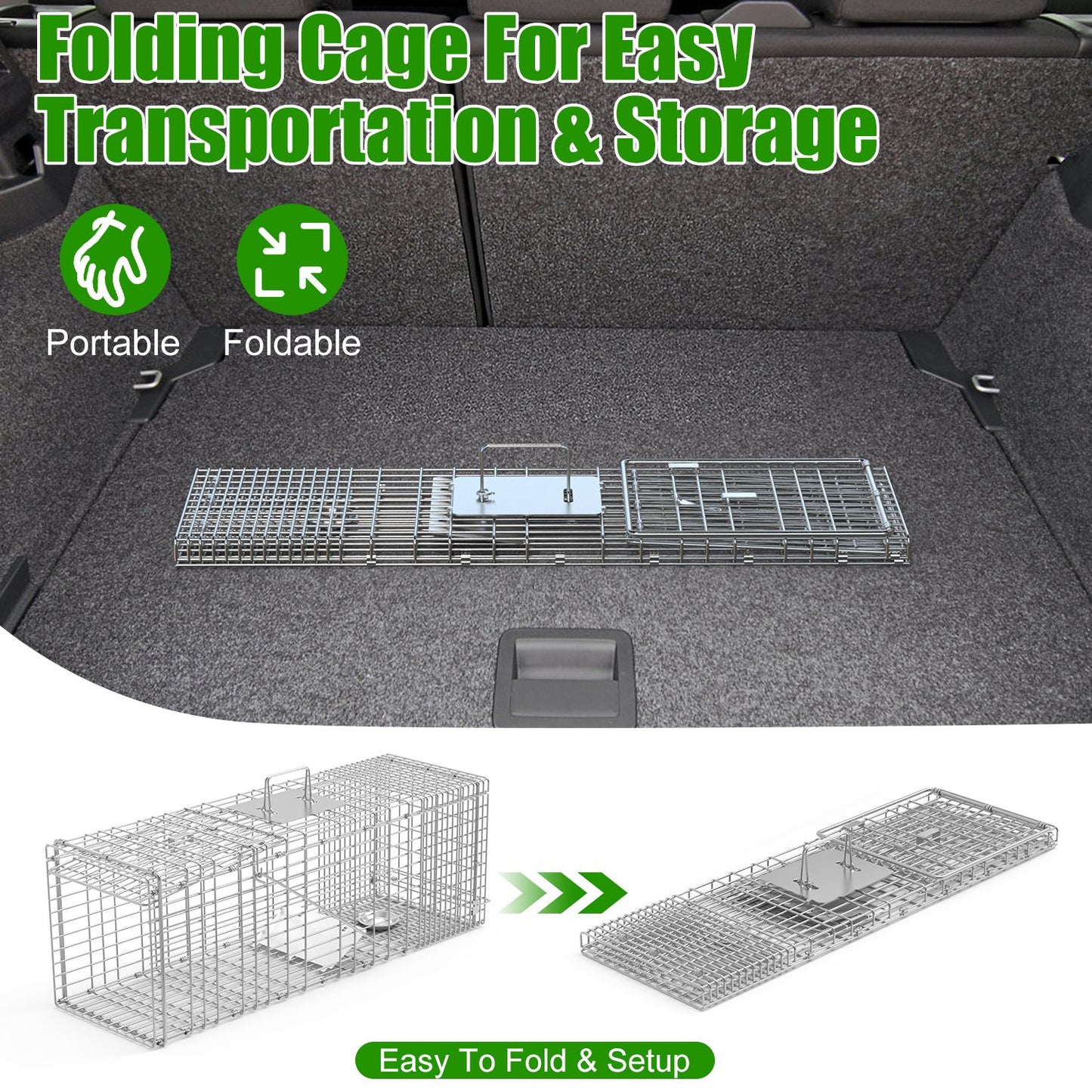 Humane Cat Trap Cage for Raccoons, Beavers & Groundhogs - Collapsible