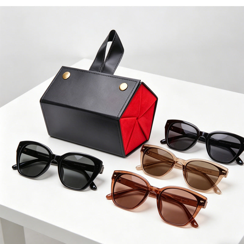 5in1 Sunglasses Travel Case Organizer Hangable, Eyeglasses Foldable