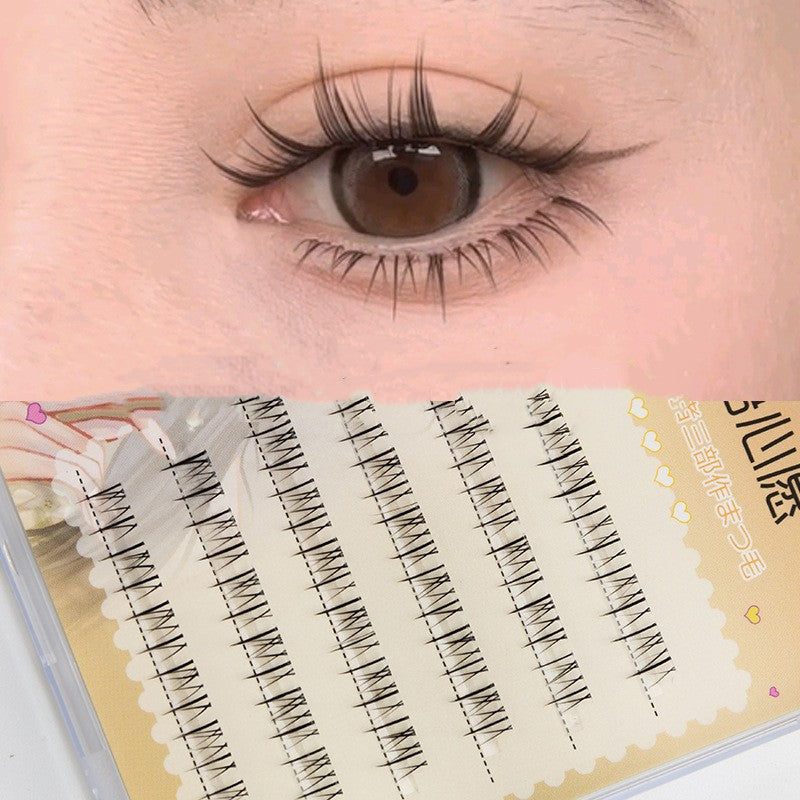 False Eyelashes Caramel Guppy 6 Rows Natural Long Style for Eye Makeup