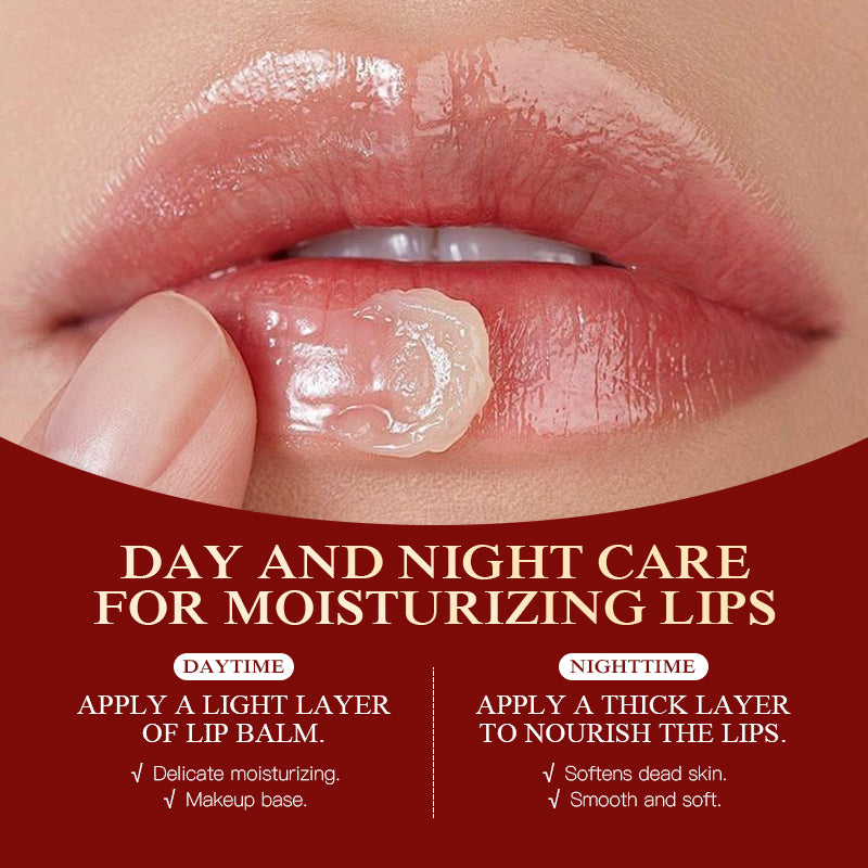 Moisturizing Avocado Lip Balm 5.5g - Nourishing Lip Care