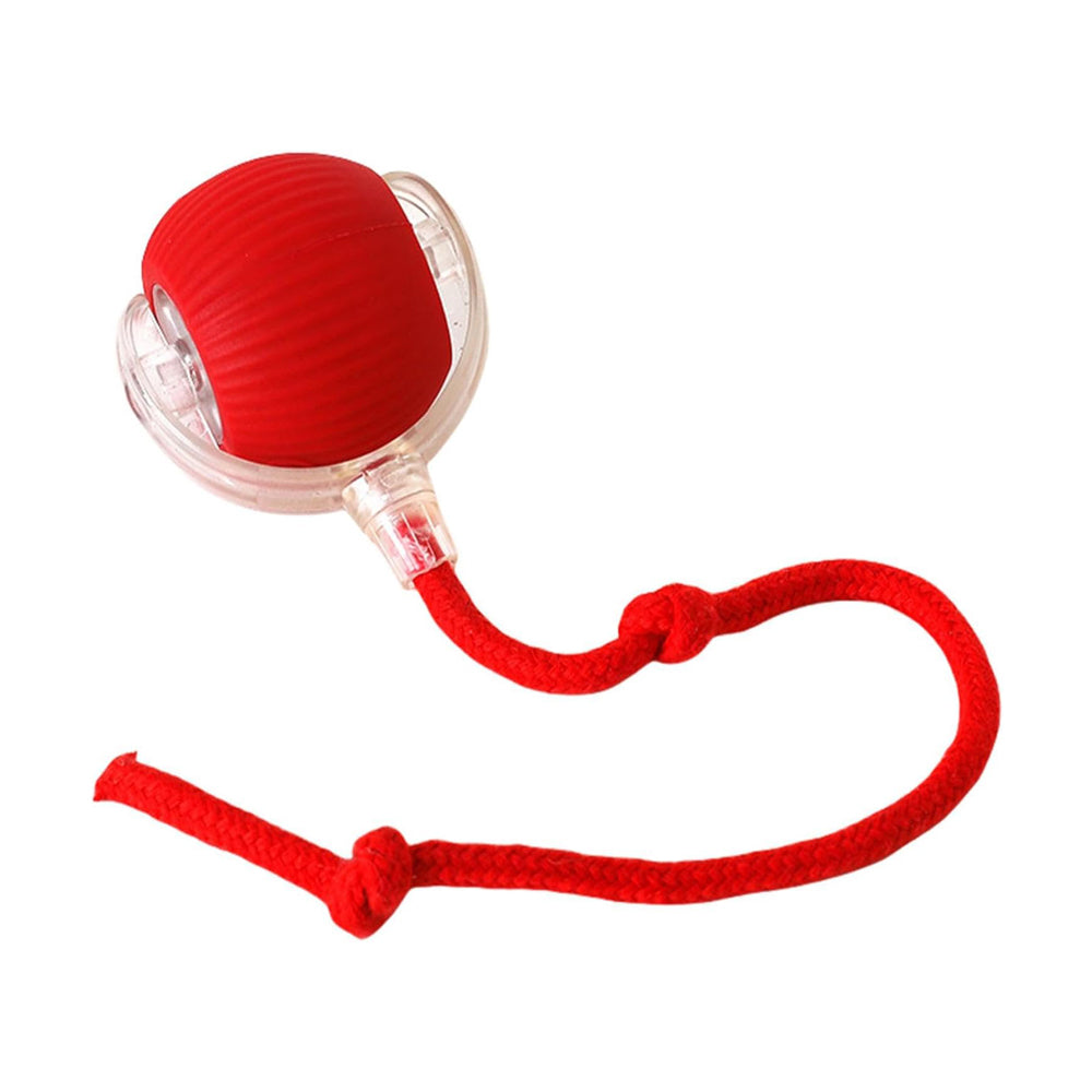Interactive Electric Pet Ball Toy for Cats and Dogs - Indoor/Outdoor Rolling Playset