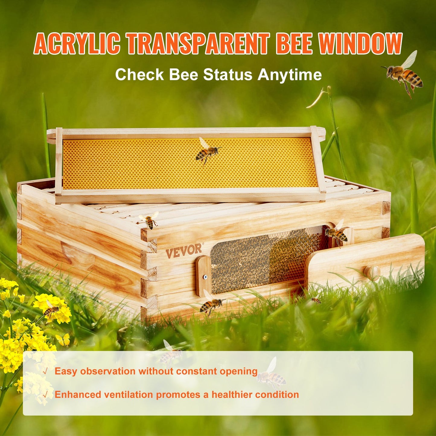 Bee Hive Medium Box Starter Kit with Cedar Wood & Transparent Windows
