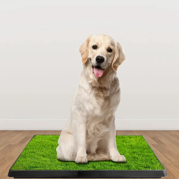 Indoor Puppy Training Pad with Grass Mat & Waste Tray - 25x20 Inches