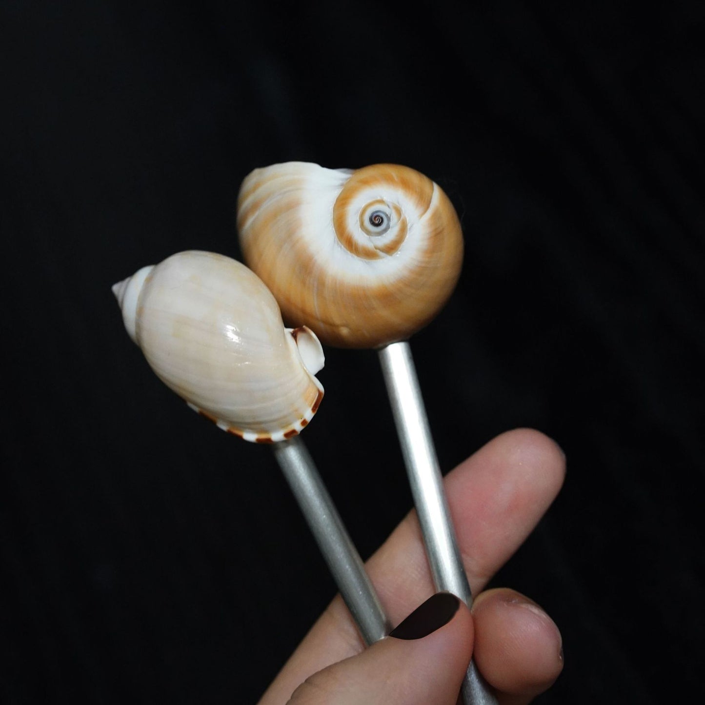 Conch Shell Glass Spoon for Wine Stirring - Creative Kitchen Utensil