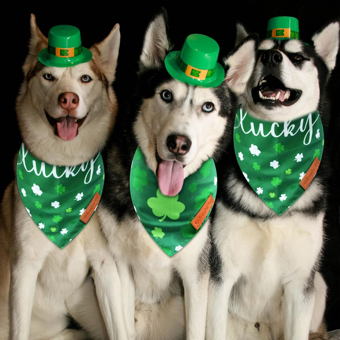 Reversible St. Patrick's Day Dog Bandanas Set - Green Shamrock Design, Double-Sided