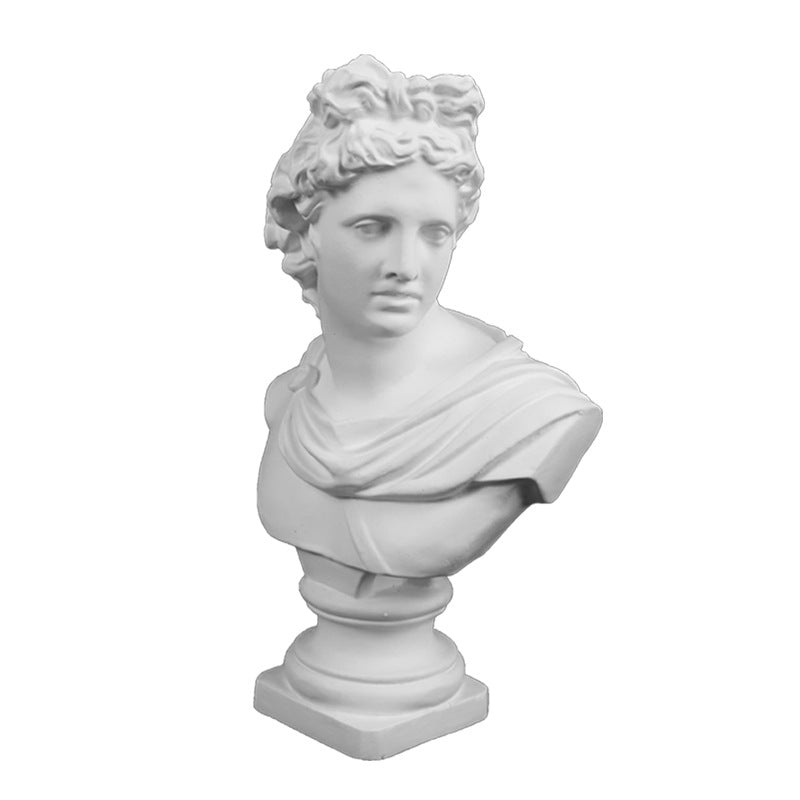Plaster Sculpture Art Teaching Aid and Decoration - White, 30cm