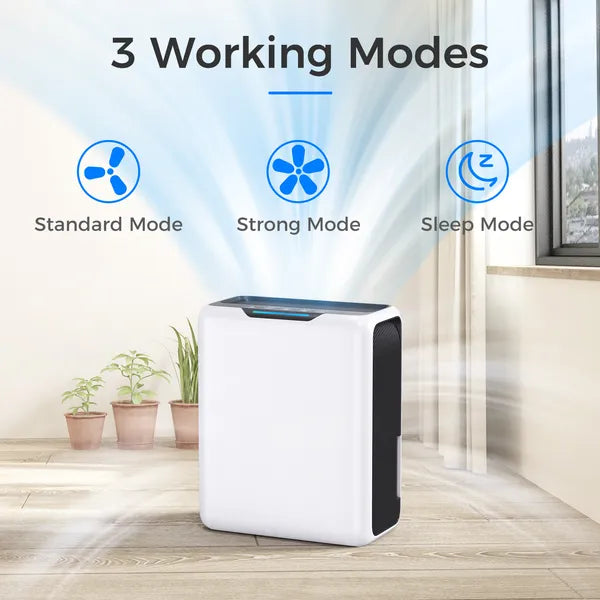 3L Electric Dehumidifier for 20m² Rooms, Ultra Quiet, Peltier Technology