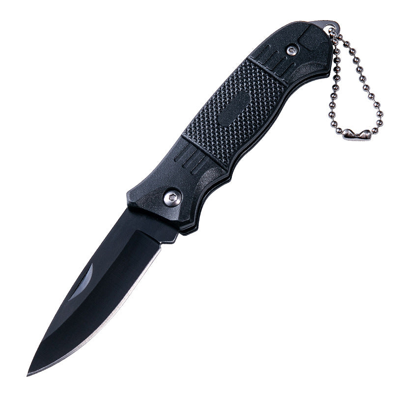 Outdoor Barbecue Knife - Folding Fruit & Meat Cutting Tool, High Carbon Steel