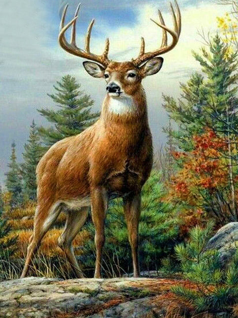 Diamond Painting Animal Deer Cross Stitch Art Kit Home Decor Gift
