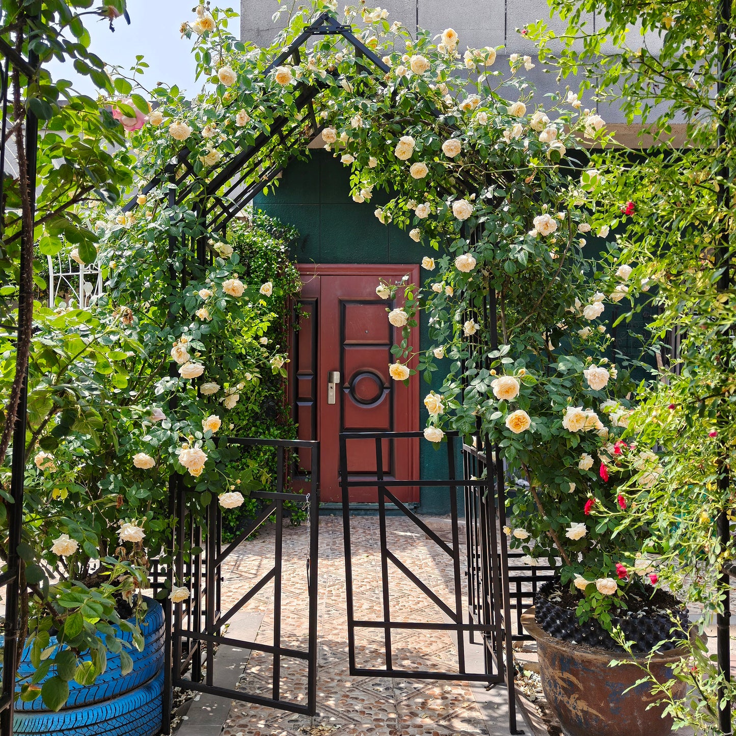 Metal Garden Arch with Gate for Climbing Plants - Black
