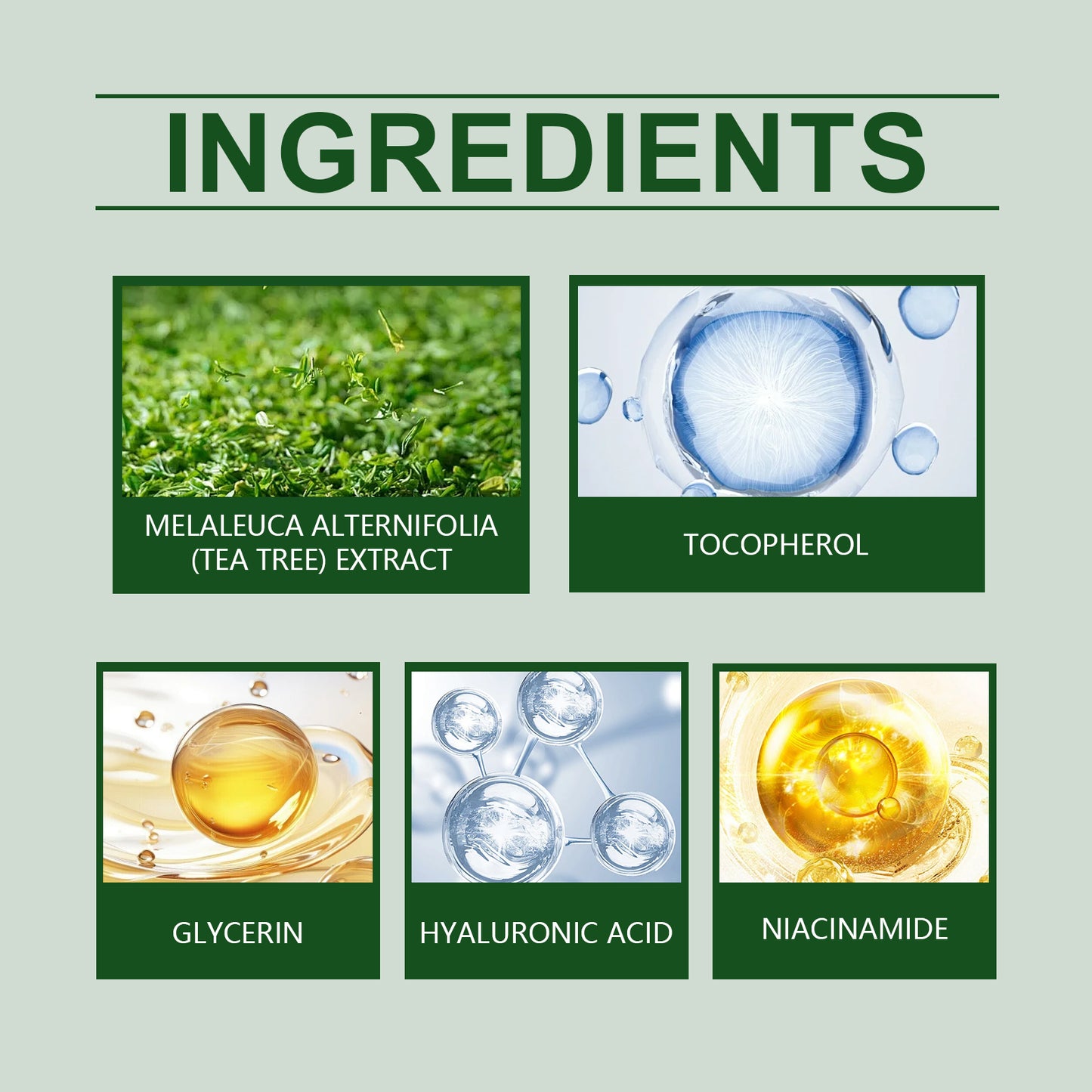 Green Tea Facial Moisturizing Cream - Hydrating Daily Skincare for Bright Skin