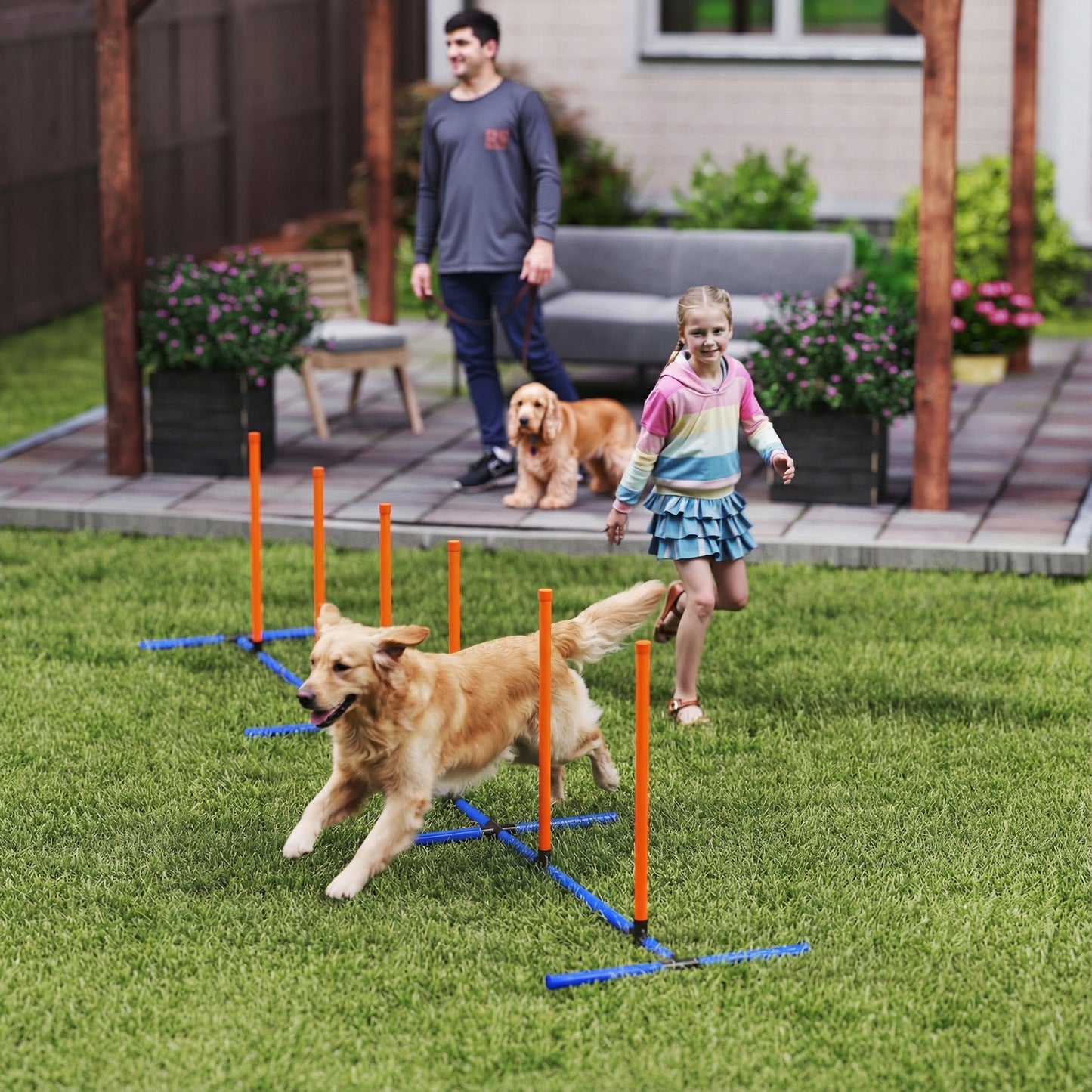 Dog Agility Training Poles - Adjustable, Portable Course Equipment with Carry Bag