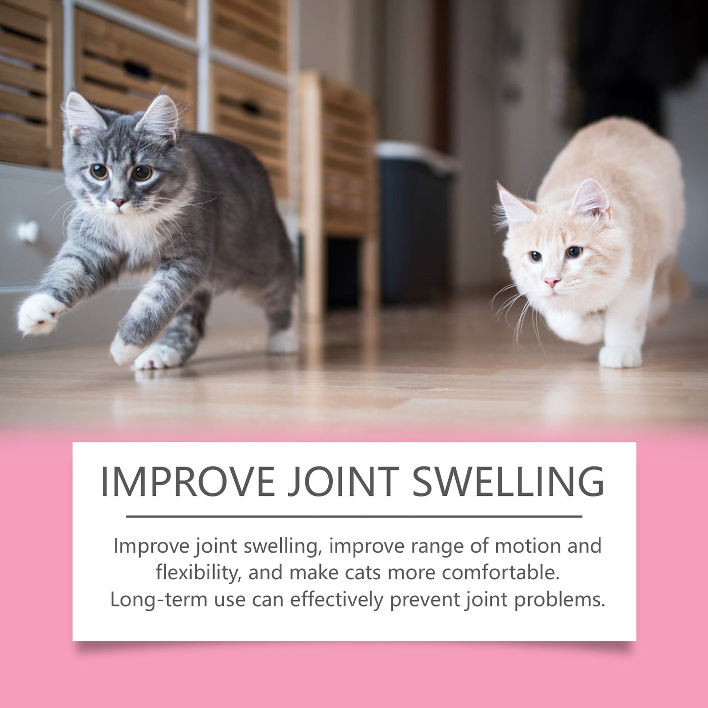 Cat Joint Support Tablets with Glucosamine - Chewable Feline Supplement for All Breeds, 80 Count