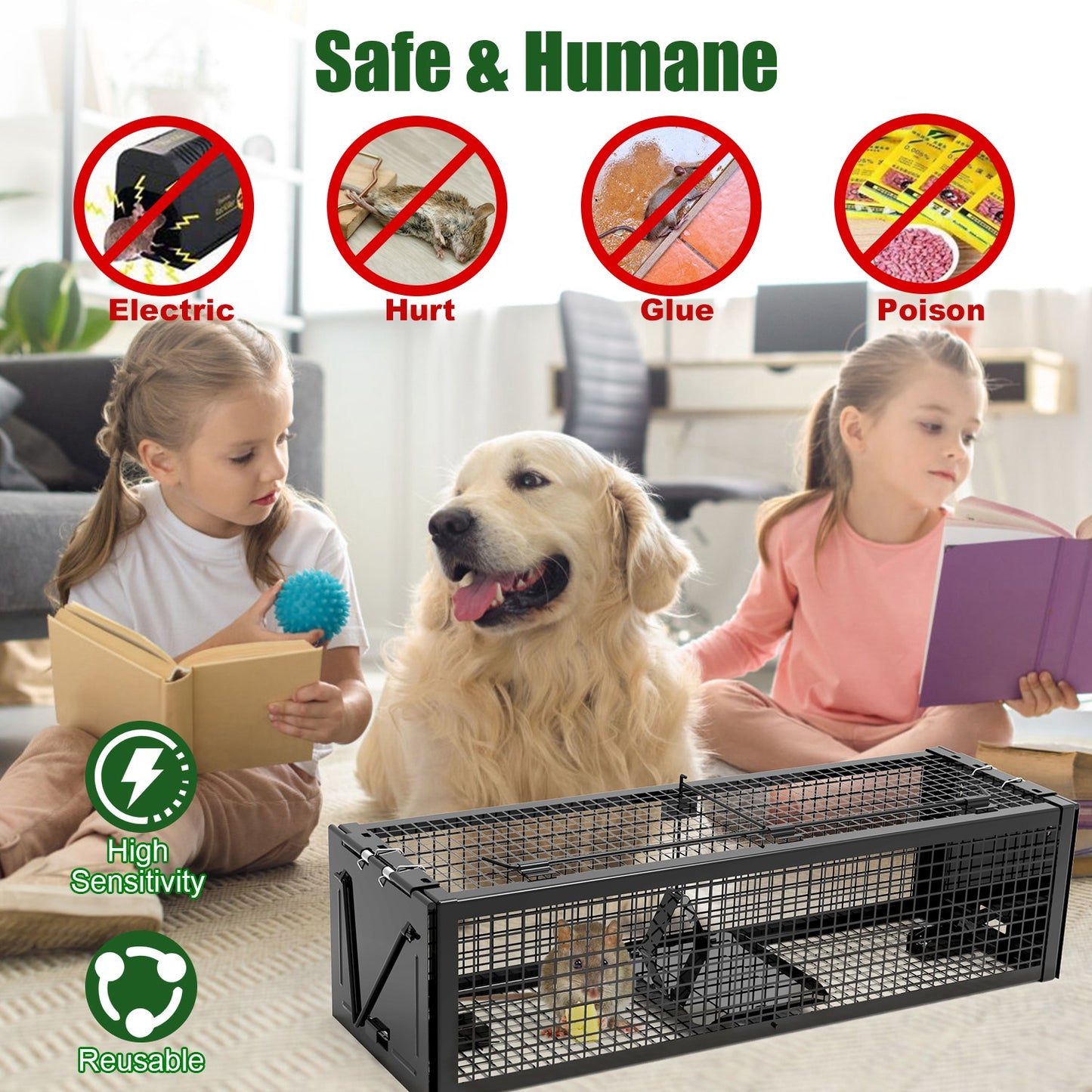 Humane Live Rat Trap - 2-Door Heavy-Duty Galvanized Iron Cage