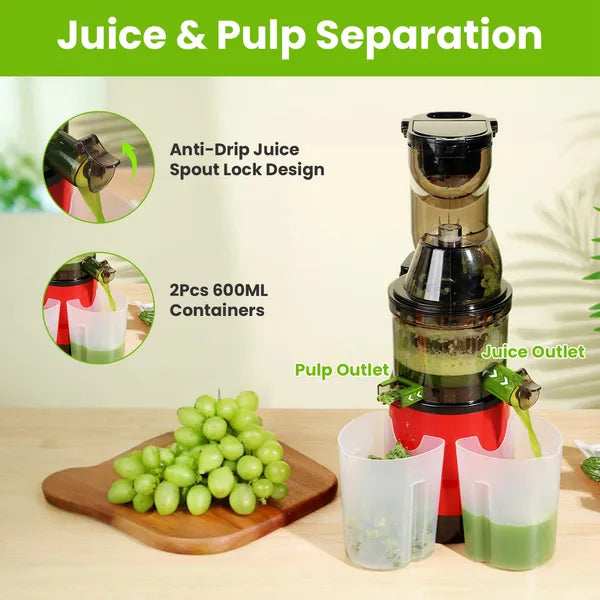 Cold Press Juicer Machine 300W Slow Masticating Juicer with Pulp Containers