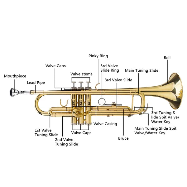Adjustable Trumpet Gloves Set - Golden