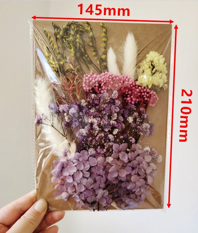 Dried Flower Material Pack for Candle & Photo Frame Decoration - Multiple Styles
