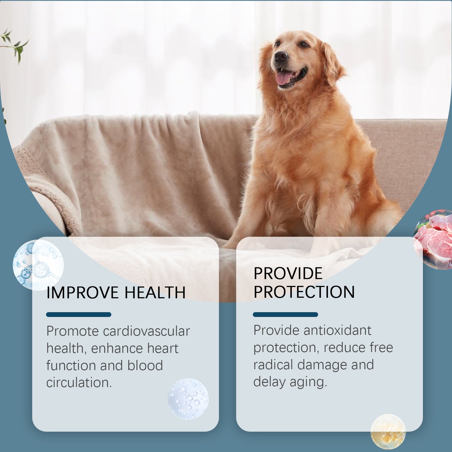 Dog Mineral Supplement Chewables for Pica Appetite & Bone Support - Non-GMO, 80 Tablets