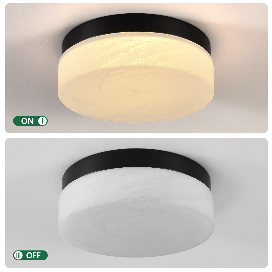 12-Inch LED Ceiling Light 24W Flush Mount Round Low Profile Fixture for Bedroom & Living Room Black