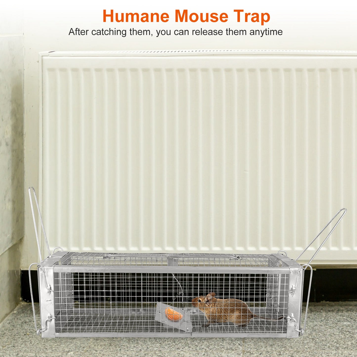 Humane Dual Door Rat Trap Cage - Zinc Electroplating, 14x11cm