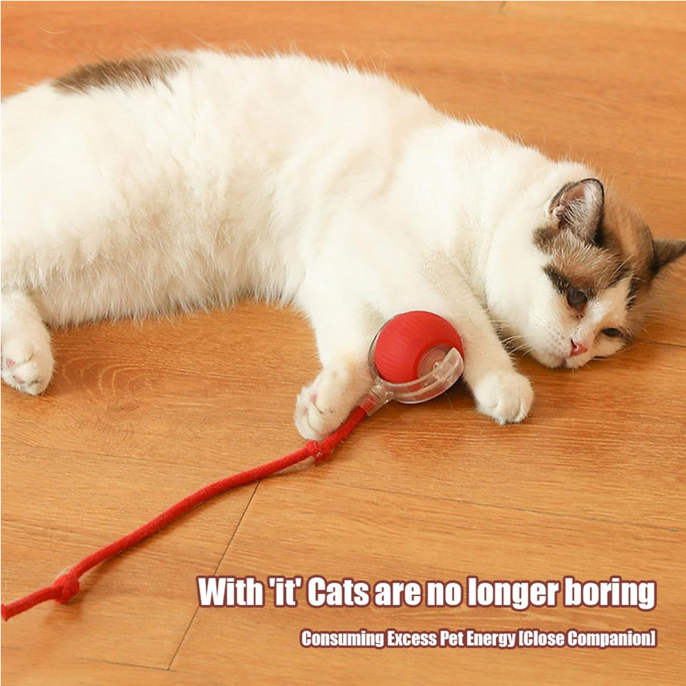 Interactive Electric Pet Ball Toy for Cats and Dogs - Indoor/Outdoor Rolling Playset
