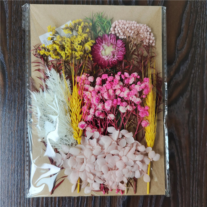 Dried Flower Material Pack for Candle & Photo Frame Decoration - Multiple Styles