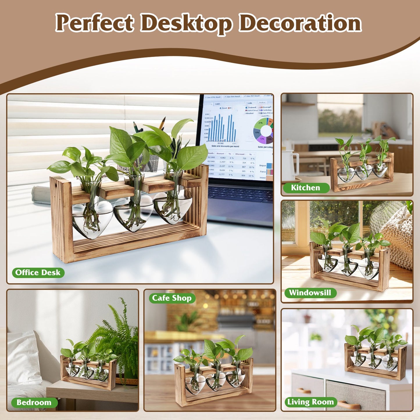 Heart-Shaped Plant Propagation Station with Wooden Stand