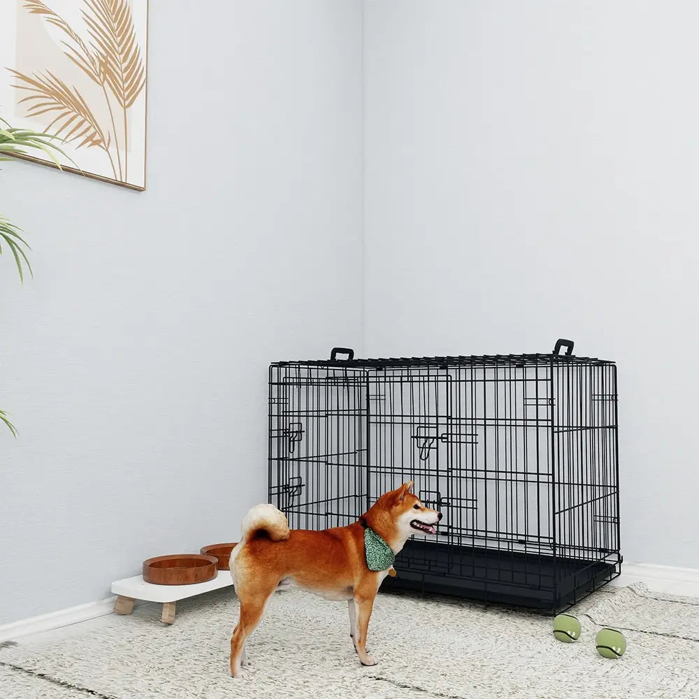 36-Inch Black Wire Dog Cage with Double Lock & Two Doors
