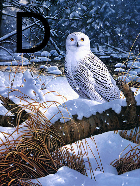 Owl Night Tree Pattern Embroidery Cross Stitch Kit - 5D Diamond Painting