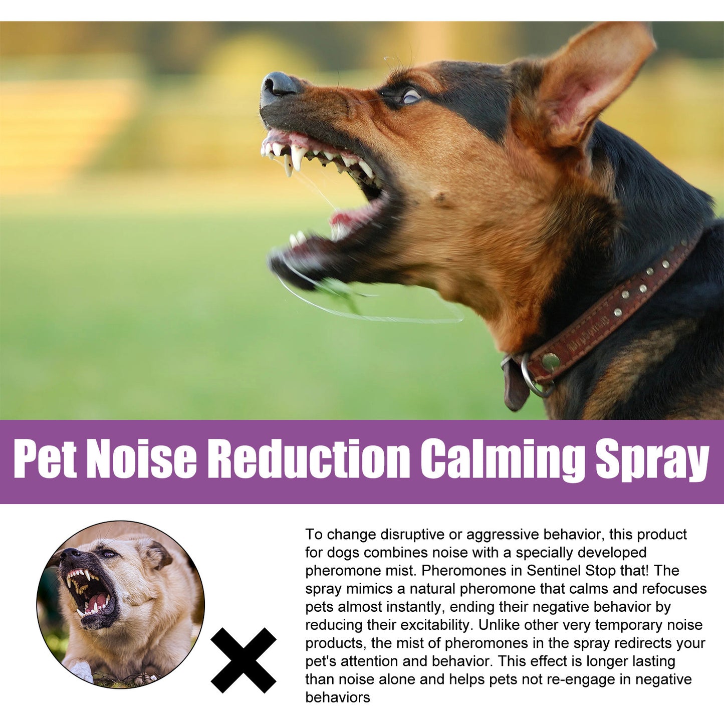Pet Calming Spray for Dogs - Reduce Barking & Anxiety, Lavender Chamomile, 50ml